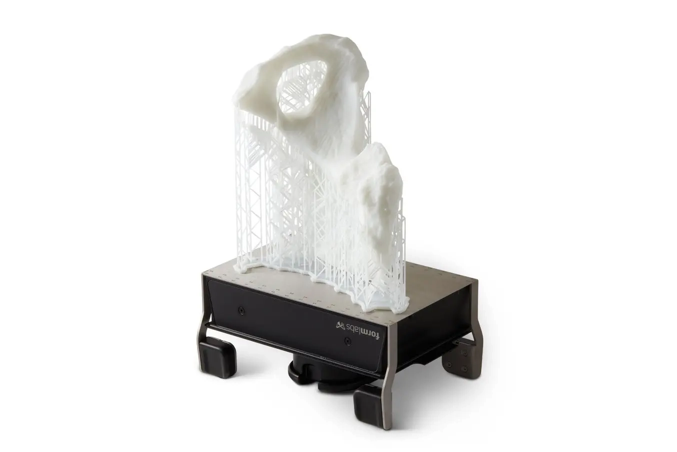 伊利翁解剖模型